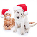 Welland SPCA Holiday Wish List, Ontario