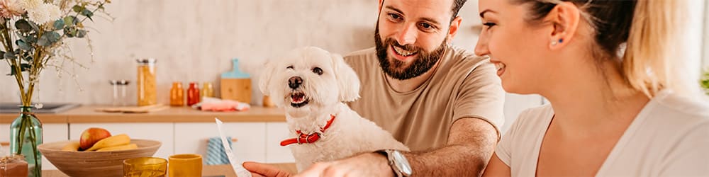 Why Pet Insurance is Important to Protect Your Pet and Your Finances