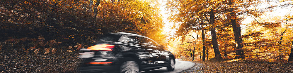 The Truth About Fall Driving Safety, Youngs Insurance, Ontario
