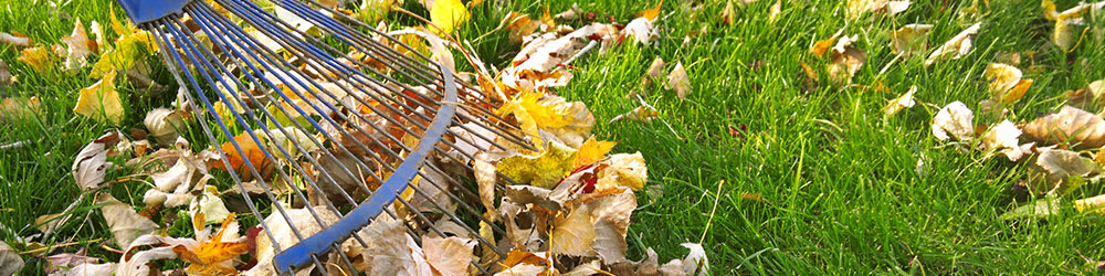 Helpful Fall Property Maintenance Tips, Youngs Insurance, Ontario