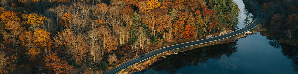 Fall in Love With These Stunning Fall Drives, Youngs Insurance, Ontario