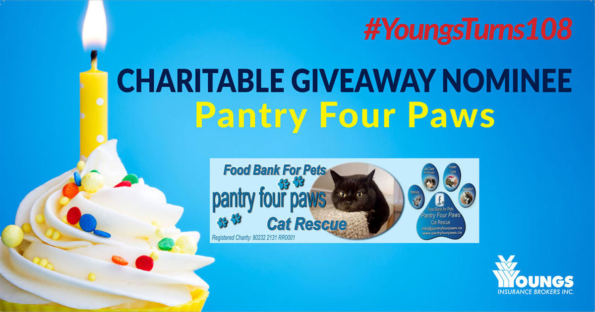 Youngs Insurance Brokers' 108th Birthday Charitable Nominee, Pantry Four Paws