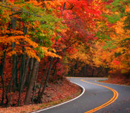Youngs Insurance safe driving tips for the Thanksgiving Holiday