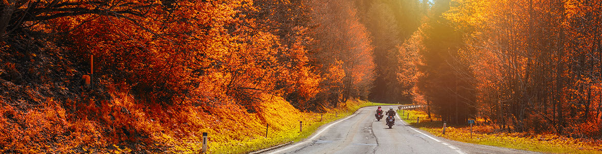 Five Aesome Things You Can Learn From Fall Motorcycle Rides, StreetRider Insurance, Ontario