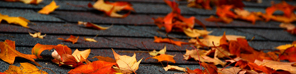 The Best Fall Home Maintenance Tips, Youngs Insurance, Ontario