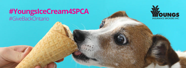 #YoungsIceCream4SPCA - June 21, 2019, Youngs Insurance